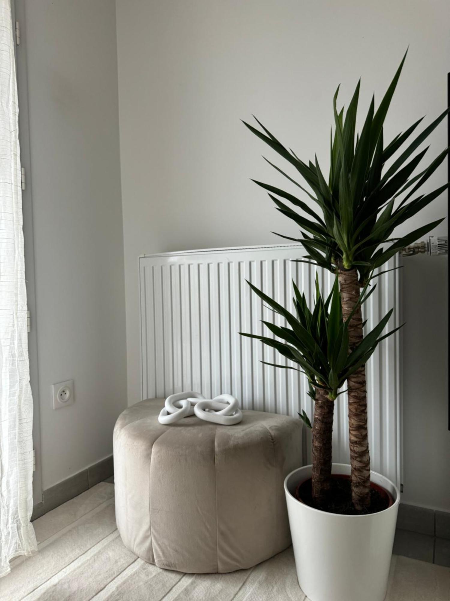 Superbe Appartement - Near Paris Corbeil-Essonnes Exterior photo